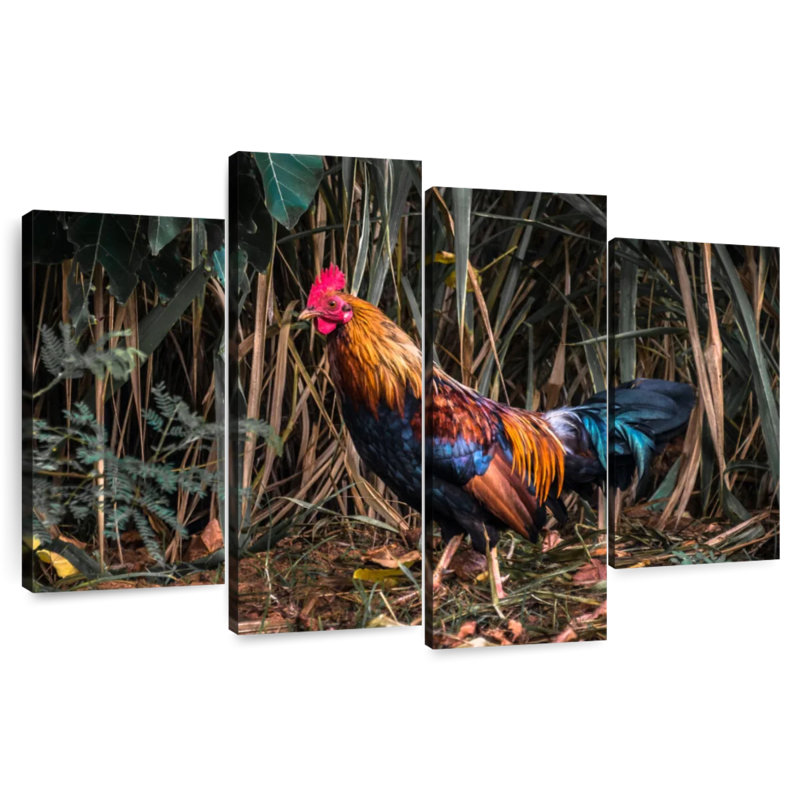 Lonely Kauai Rooster, 27"H x 43"W