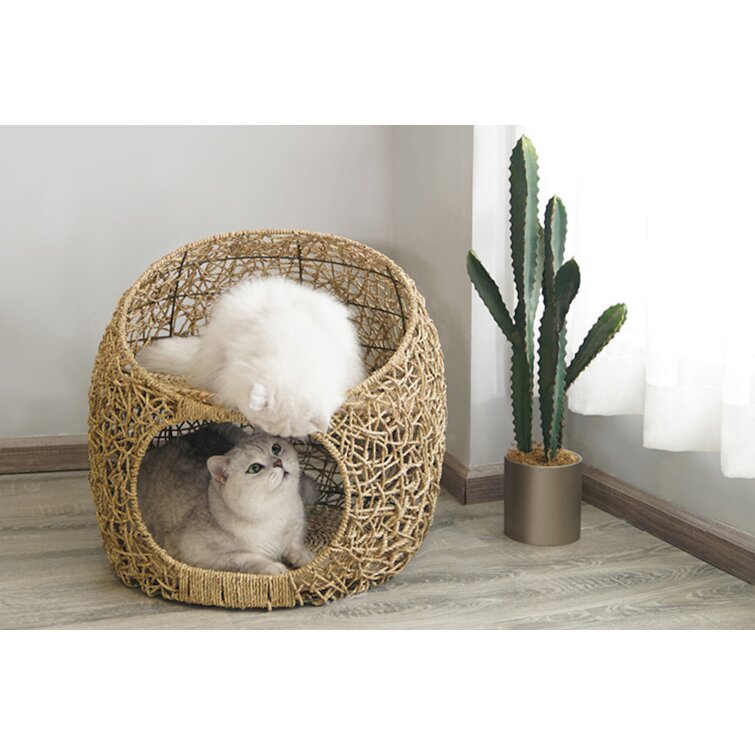 Tucker Murphy Pet™ Beneccio Rattan Bed Raised Wicker Small Animal