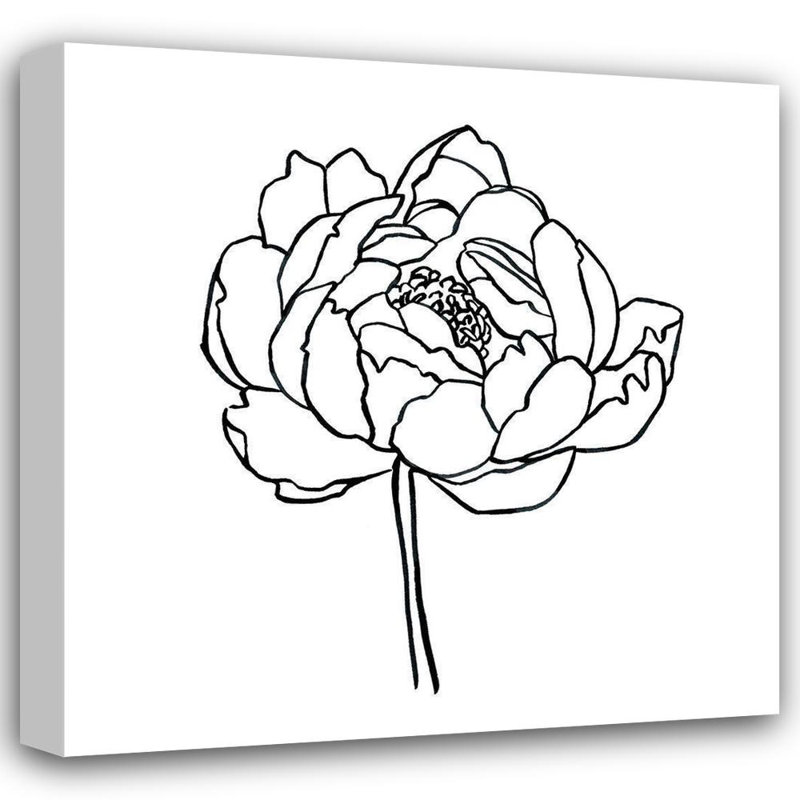 «Latitude Run® Scarvey, Emma», art sur toile tendue: Peony Contour I, H 15 po x l 15 po