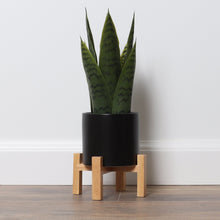 Fausse plante à plantes en pot 16 po Bornbridge, H 16 po x l 3,75 po x P 3,75 po