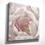 Wallach intime rosé - imprimé-1971442999-1992255972