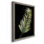 Frond II - reproduction de cadre photo sur papier-727950029-727950069