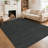 Machine Washable Area Rug for Living Room Modern Solid Color Throw Carpet for Bedroom Dining Room-435424475-429869071