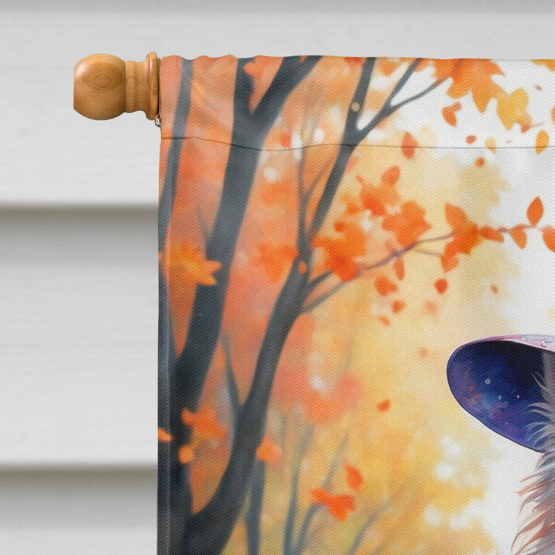Drapeau de maison Weimaraner, Esquimau américain
