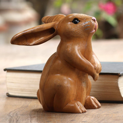 Adorable lapin Brazell