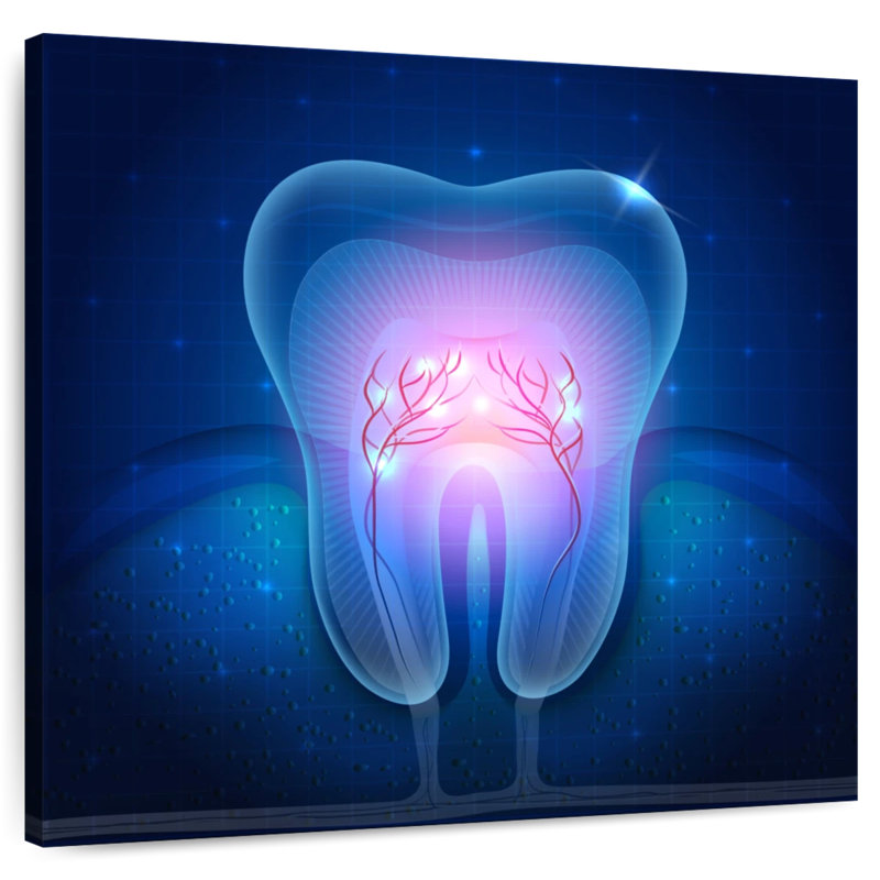 Alcaraz Transparent Tooth, 10" H x 10" W