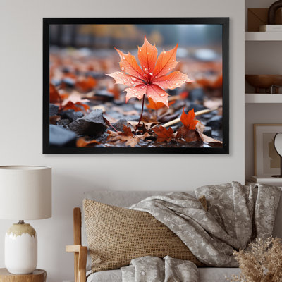 " Coral Flower Autumn Radiance I "