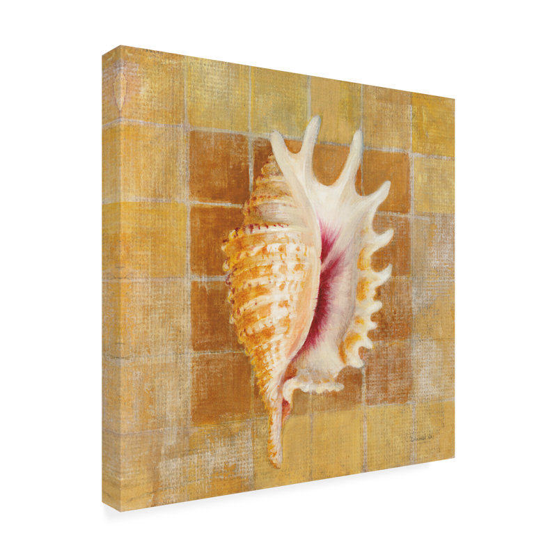 Art sur toile Danhui Nai Seashell II, H 24 po x l 24 po