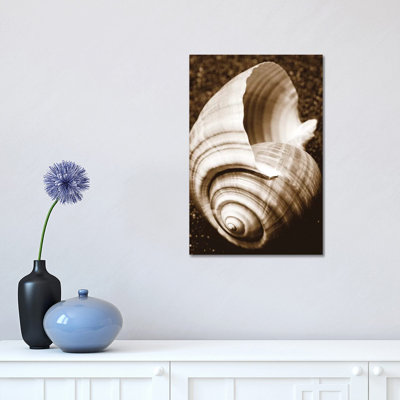 Sea Gallery IV by Boyce Watt - Wrapped Canvas Print