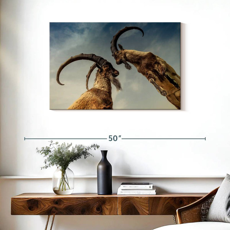 Brampt Goat Clash, 24" H x 36" W