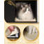 Cat Litter Box Enclosure, Hidden Litter Box Furniture with Scratching Mat, Wooden Pet House Side End Table, Tall Legs, Double Doors, 80 x 50 x 61 cm, White and Gold, Black and Gold, White-1670772974