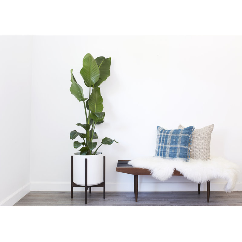 Pot à fleurs en grès Riverside, H 20 po x l 15,5 po x P 15,5 po, Blanc / teck foncé