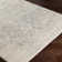 Oriental Indoor Rug