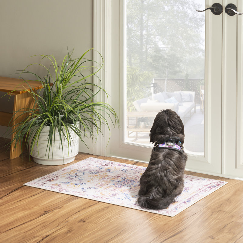 Cloris Machine Washable Area Rug, Rectangle 2' x 3'