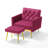 Zianny Velvet Accent Chair with Ottoman-673816088