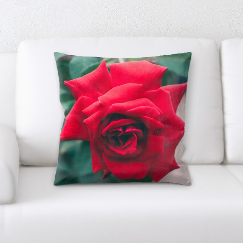 Coussin décoratif Focus