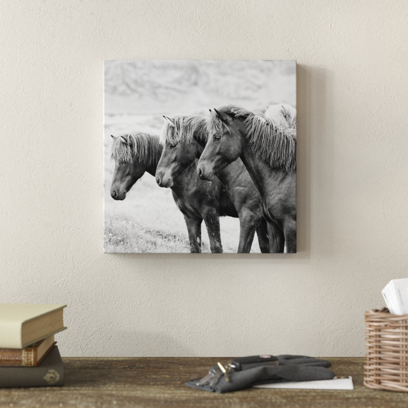 B&W Horses X by PHBurchett - Wrapped Canvas Print, 30cm H x 30cm W