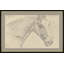 Study Of A Horse Giclee Print by Sawrey Gilpin