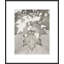 Lucent Botanicals 8 Print by Darrell Kincer-1781618707