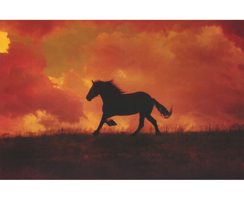 Le cheval oublié, H 16 po x l 24 po
