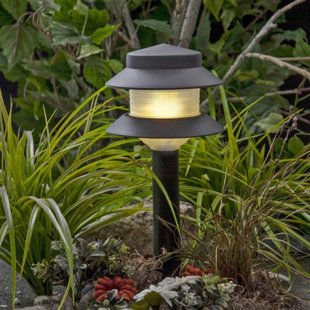 Large Fern Flameless Candle Cover With 1 Free Electric Tea Light. Backyard  Tabletop Lighting. Outdoor Patio Decor. Battery Lights. LED. 