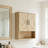 19" Wall Mounted Bathroom Cabinet, Wall Storage With Adjustable Shelves And Dual Door-4094086