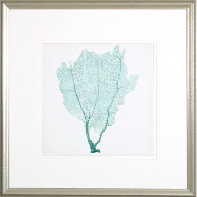 Sea Fan I Print by Vision