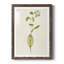 Mauve Garden Flowers IV - peinture encadrée-1603330266-1603330264