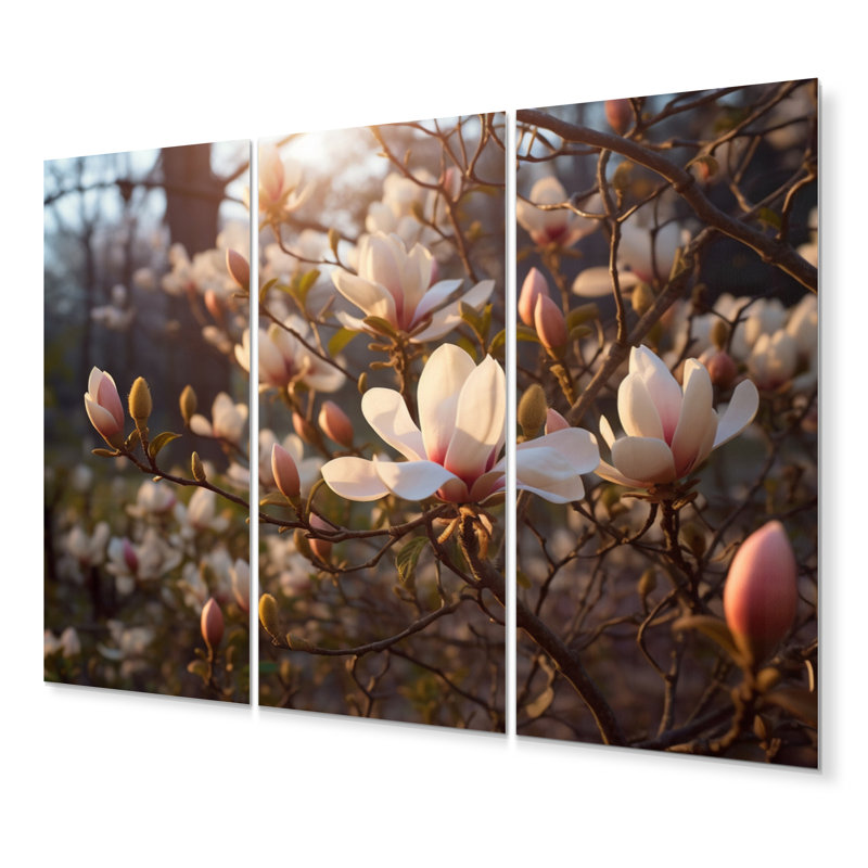 White Pink Magnolias Landscape IV Plants & Flowers Wall Decor on Metal