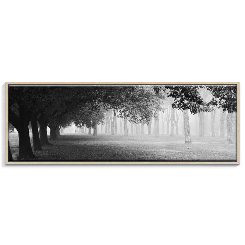 Print on Canvas, 52.5cm H x 153.5cm W, Floater Frame