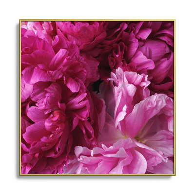 " Glamour Pink Peonies "