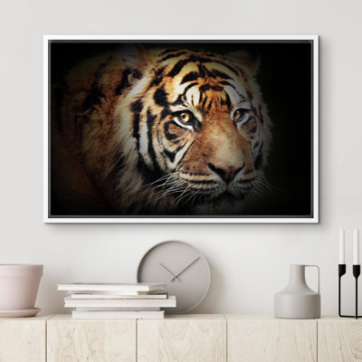 Animaux, tigre du Bengale