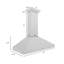 Hotte murale ZLINE-1449085652-1418054007