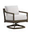 Swivel Chair-257469517