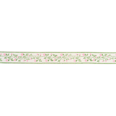 Schumacher X Molly Mahon Strawberry Trail Hand Block Trim
