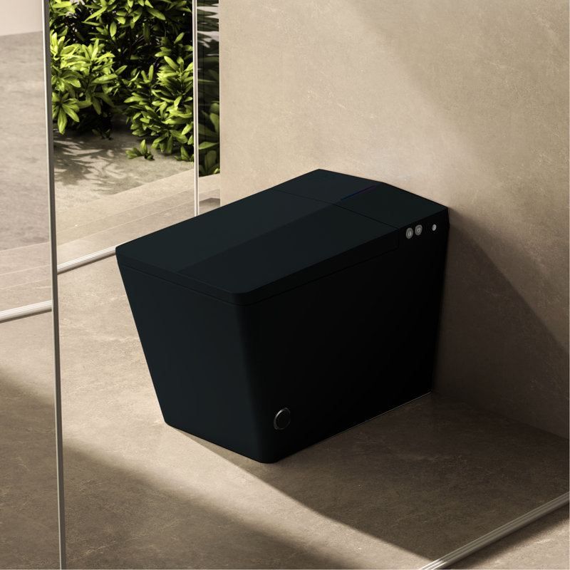 Black Square Smart Toilet With Built-In Tank, Auto Flush, Heated Seat, Remote Control, Led Display, Enrichment Tank For Bathroom, Finish