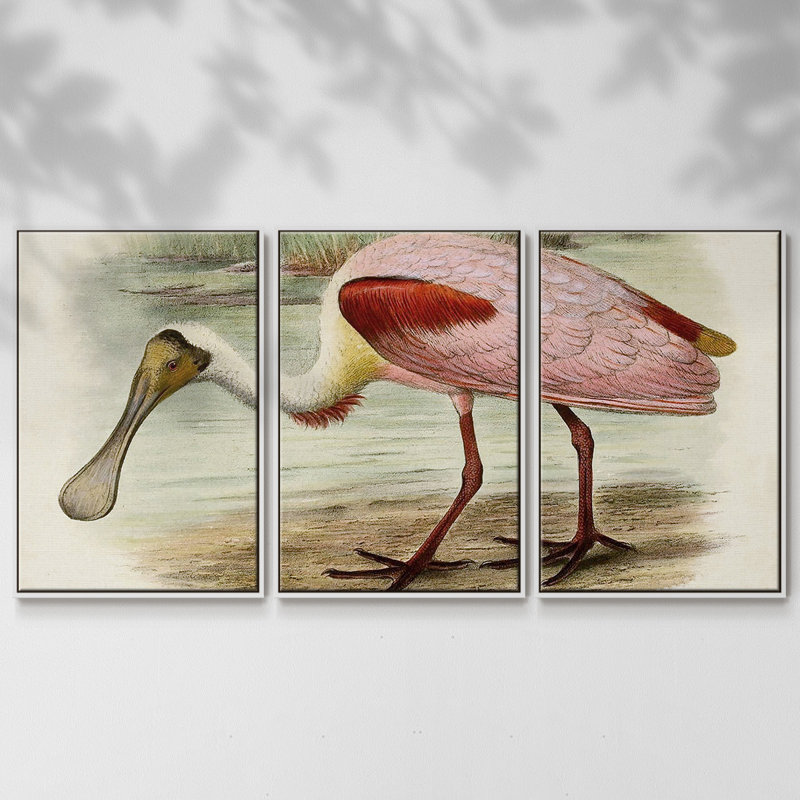Roseat Spoonbills II 3 pièces, H 24 po x l 48 po x P 2 po, Blanc