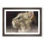 Curious Cat - Picture Frame Graphic Art Print-56708722-56708725