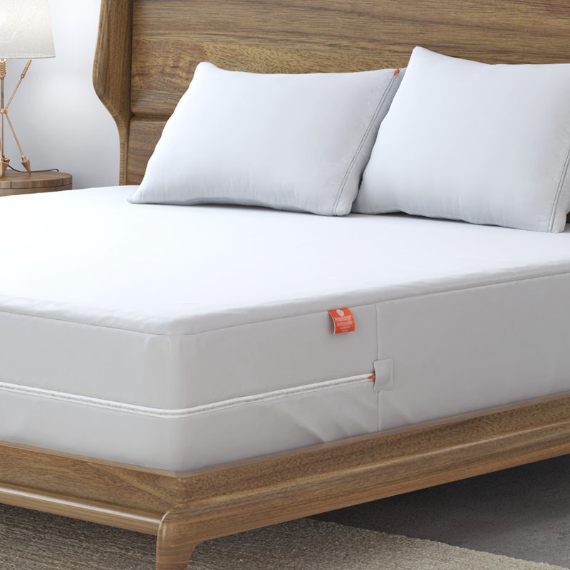 The Original Sleep Defense System Zippered Waterproof Bedbug Proof Dust Mite Proof Mattress Encasement, Queen, 12"