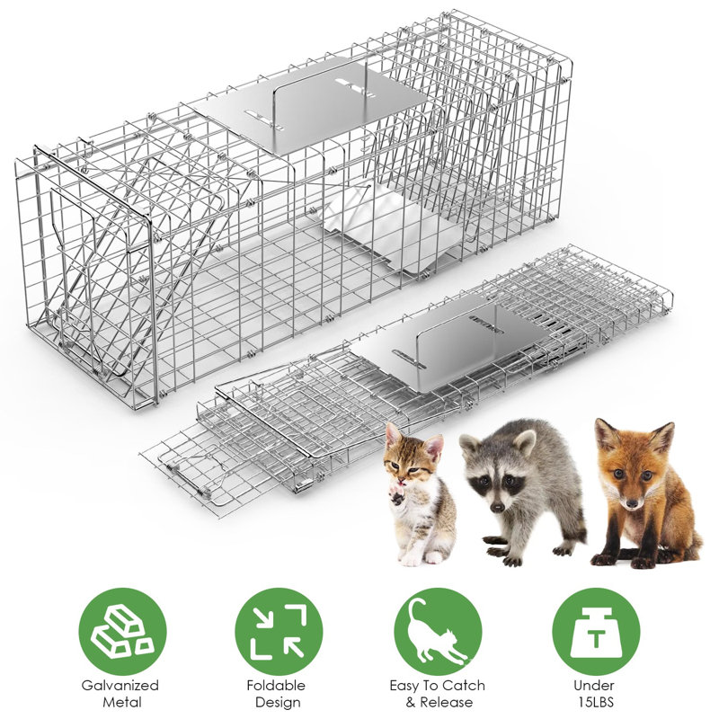 Cage à piège pour animaux vivant 37 x 14 x 15 po pliable pour attraper et libérer le piège à chat en fer galvanisé pour les ratons laveurs, les renards, les coyotes, les chiens, les tatous, les écureuils