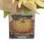 Sunflower and Wheat Fall Arrangement in a Cement Pot