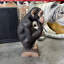 Statue de table Monkey Chimp Light