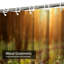 Rideau de douche Sunset Spring-1287659994