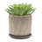 Lorice Stoneware and Ceramic Saucer Planters - Durable, Stylish Design - Set of 2-1646729356-1681686426-1681686423