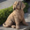 Retriever Puppy Statue