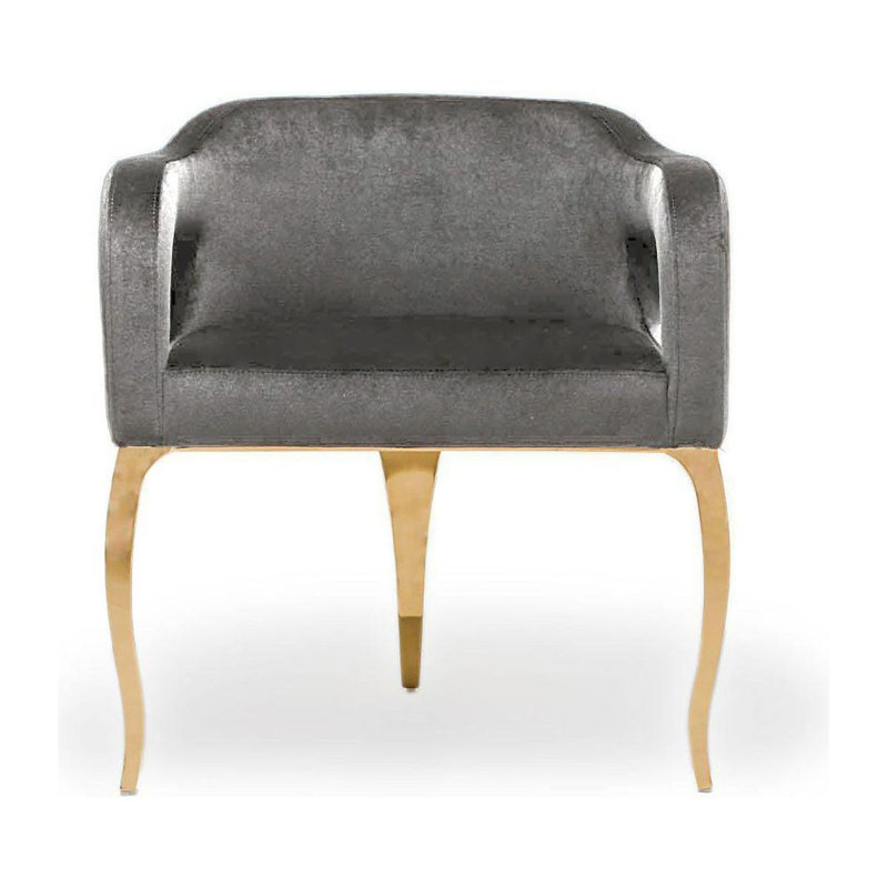 Iseminger 19'' H Velvet Upholstered Armchair, Gray, Titanium Golden