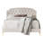 Dwaun Upholstered Platform Bed-797771564-797771568