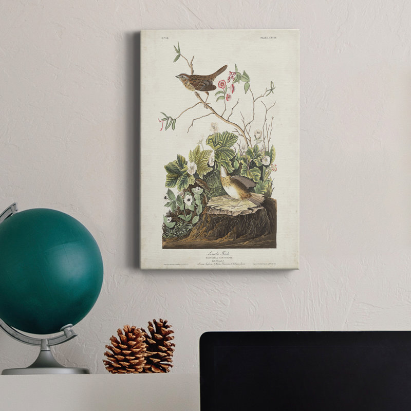 Pl 193 Lincoln Finch - reproduction sur toile tendue, H 60 po x l 40 po x P 1 po
