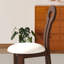 Upholstered Solid Wooden Side Chair Dining Chair (Set Of 2)-1646264442-1646264443