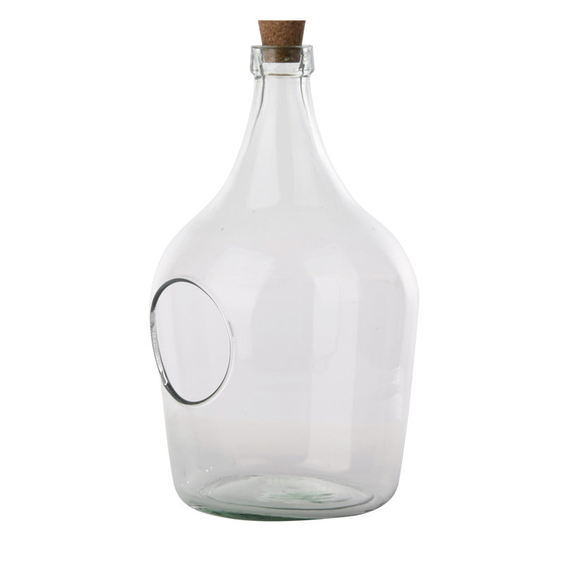 Open Terrarium Clear Bottle, 30.2cm H x 16cm W x 15.8cm D